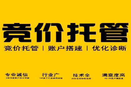 成本效益分析：百度推广月费案例